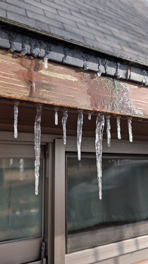 2026年キャンプ始め🎍爆風けん玉合宿🏕️ ひなもりオートキャンプ場 ファミリーキャンプ ヒゲキャンさんのキャンプブログ CAMPiii（キャンピー） -キャンプ専用SNS キャンプのすべてがここに集まる-