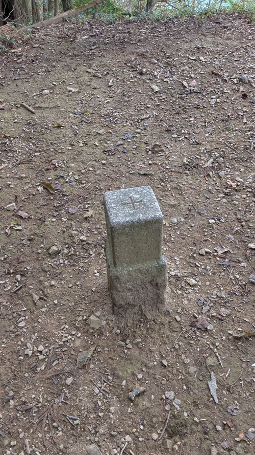ラーショにネギは要らない ともえ川Park ソロキャンプ オートサイト IZUIZUさんのキャンプブログ CAMPiii（キャンピー） -キャンプ専用SNS キャンプのすべてがここに集まる-