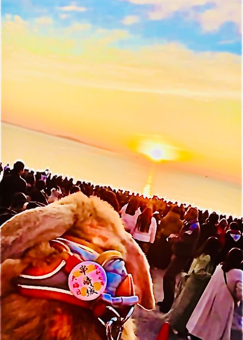 2025-2026 最初で最期の城跡エリア年越グルキャン△ in 下関市串崎城跡 〜 CAMP NO.169 関見台公園 ソロキャンプ ファミリーキャンプ グループキャンプ 区画サイト おじキャン△さんのキャンプブログ CAMPiii（キャンピー） -キャンプ専用SNS キャンプのすべてがここに集まる-