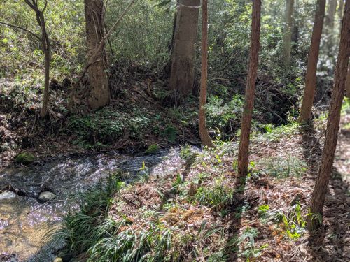 イイタムロ（屯）　ITAMURO 那須高原ITAMUROキャンプ場 ソロキャンプ フリーサイト GSUS（ゲスース）さんのキャンプブログ CAMPiii（キャンピー） -キャンプ専用SNS キャンプのすべてがここに集まる-