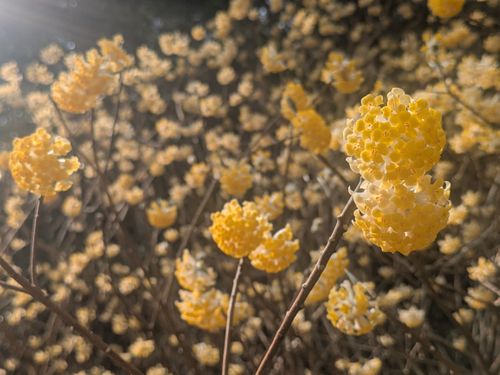『ただいま！死にかけたけど生きて戻りました✨』大親友の優しさキャンプと笑顔と涙のSBCMT⛺ 神石高原 ティアガルテン グループキャンプ 区画サイト NATSUさんのキャンプブログ CAMPiii（キャンピー） -キャンプ専用SNS キャンプのすべてがここに集まる-