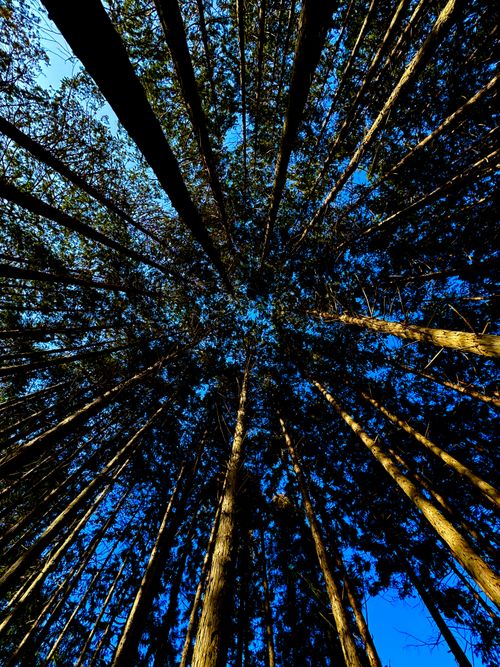 CAMPiii(キャンピー) yoshiさんのキャンプブログ 静かな景色と、氷点下の夜 TAKIBIYA camp field