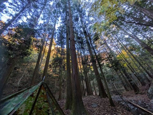 ひとりミリキャンプ。 大阪府 ソロキャンプ フリーサイト ぞのさんさんのキャンプブログ CAMPiii（キャンピー） -キャンプ専用SNS キャンプのすべてがここに集まる-