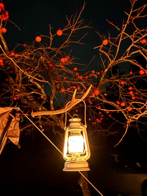 今年もお世話になりました！来年もたくさん遊んでくれぶーん！！ KAWAI VILLAGE CAMP ソロキャンプ 区画サイト とのさんのキャンプブログ CAMPiii（キャンピー） -キャンプ専用SNS キャンプのすべてがここに集まる-