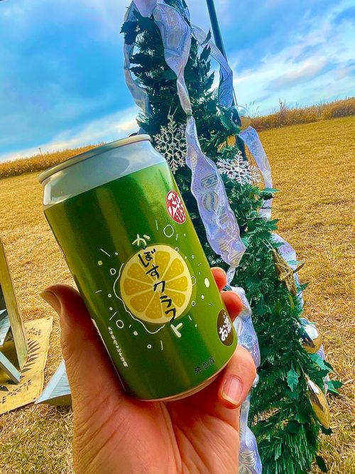 天国と地獄！？ 聖なる夜を愉しむおじおばうさキャン△ in グランヴェルデリゾート 〜 CAMP NO.168 GRAND VERDE RESORT ファミリーキャンプ グループキャンプ フリーサイト おじキャン△さんのキャンプブログ CAMPiii（キャンピー） -キャンプ専用SNS キャンプのすべてがここに集まる-