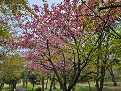 SBCMT009 神石高原 ティアガルテン グループキャンプ フリーサイト 三代目とっしぃさんのキャンプブログ CAMPiii（キャンピー） -キャンプ専用SNS キャンプのすべてがここに集まる-