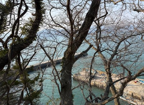 みちのく潮風トレイル３区間目キャンプ 神割崎キャンプ場 ソロキャンプ フリーサイト まっつんさんのキャンプブログ CAMPiii（キャンピー） -キャンプ専用SNS キャンプのすべてがここに集まる-