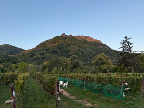 今シーズン　12泊目のソロキャンプ 八剣山ワイナリー焚き火キャンプ場 ソロキャンプ 区画サイト オートサイト POPPYさんのキャンプブログ CAMPiii（キャンピー） -キャンプ専用SNS キャンプのすべてがここに集まる-