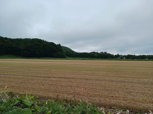 北海道の旨い!を食べるC△mp旅’2025(2 of 4) 北海道 ファミリーキャンプ キャンピングカー vios outdoor'sさんのキャンプブログ CAMPiii(キャンピー) -キャンプ専用SNS キャンプのすべてがここに集まる-