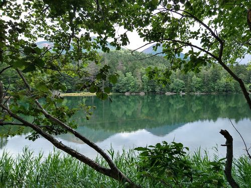 北海道の旨い!を食べるC△mp旅’2025(2 of 4) 北海道 ファミリーキャンプ キャンピングカー vios outdoor'sさんのキャンプブログ CAMPiii(キャンピー) -キャンプ専用SNS キャンプのすべてがここに集まる-