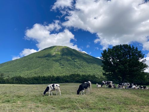 DAISEN♥大山@前編 CAMPFIELD GOEN ファミリーキャンプ オートサイト ぐうたら夫婦さんのキャンプブログ CAMPiii（キャンピー） -キャンプ専用SNS キャンプのすべてがここに集まる-