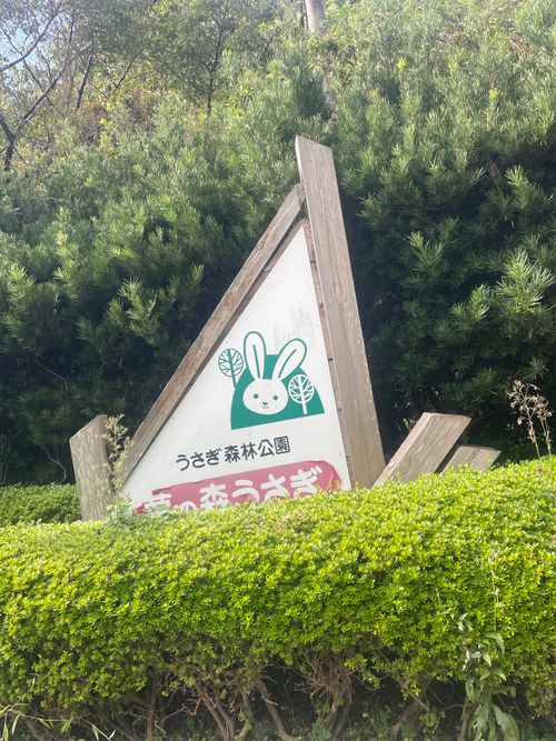 神在月に神の遣い《きなこ》と一緒に…出雲参拝おじおばうさキャン△ in 夢の森うさぎキャンプ場 〜 CAMP NO. うさぎ森林公園 夢の森うさぎ ファミリーキャンプ グループキャンプ 区画サイト おじキャン△さんのキャンプブログ CAMPiii(キャンピー) -キャンプ専用SNS キャンプのすべてがここに集まる-