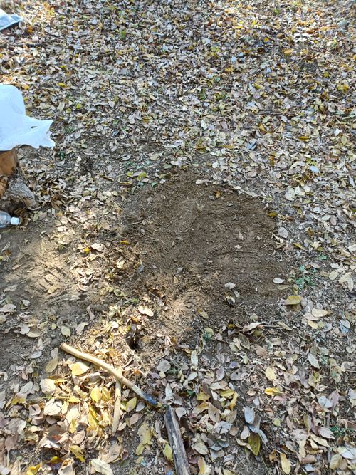 第3陣は忘れ物祭り りょっちゃんの秘密基地 ソロキャンプ フリーサイト オートサイト Kazu Aさんのキャンプブログ CAMPiii（キャンピー） -キャンプ専用SNS キャンプのすべてがここに集まる-