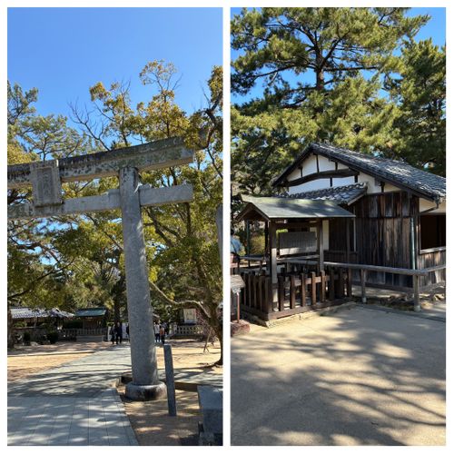 2026年2回目、超高規格キャン😆 ABUキャンプフィールド ファミリーキャンプ 区画サイト オートサイト わいげさんのキャンプブログ CAMPiii（キャンピー） -キャンプ専用SNS キャンプのすべてがここに集まる-