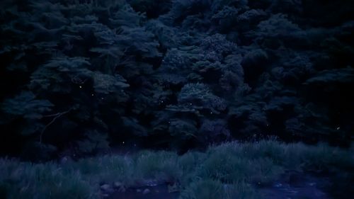 ほう　ほう　ほたるこい🎵久し振りのホタルキャンプ🏕️ ソロキャンプ ファミリーキャンプ グループキャンプ 区画サイト オートサイト ヒゲキャンさんのキャンプブログ CAMPiii（キャンピー） -キャンプ専用SNS キャンプのすべてがここに集まる-