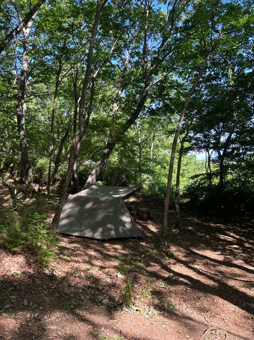 3週連続ソロキャンプ🏕️ CAMP BEAN ソロキャンプ 区画サイト Genさんのキャンプブログ CAMPiii（キャンピー） -キャンプ専用SNS キャンプのすべてがここに集まる-