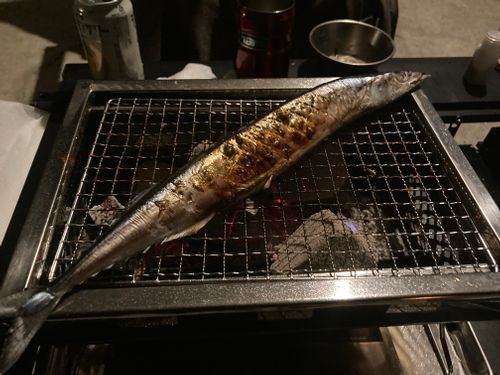 遅めのチェックインでゆっくりキャンプ⛺️ BIG SEASIDE PARK ファミリーキャンプ 区画サイト オートサイト masaさんのキャンプブログ CAMPiii（キャンピー） -キャンプ専用SNS キャンプのすべてがここに集まる-