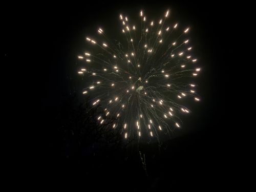 GO OUT CAMP 冬2025 🎄にソロ参加して、ど雨でぐちゃぐちゃになったけど、結果的に楽しかったキャンプ🏕️ ふもとっぱらキャンプ場 ソロキャンプ フリーサイト オートサイト waccy0441さんのキャンプブログ CAMPiii（キャンピー） -キャンプ専用SNS キャンプのすべてがここに集まる-