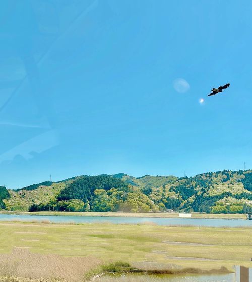 至れり尽くせり💕『お姫様』デイキャンプ 神割崎キャンプ場 Oniyomeさんのキャンプブログ CAMPiii（キャンピー） -キャンプ専用SNS キャンプのすべてがここに集まる-