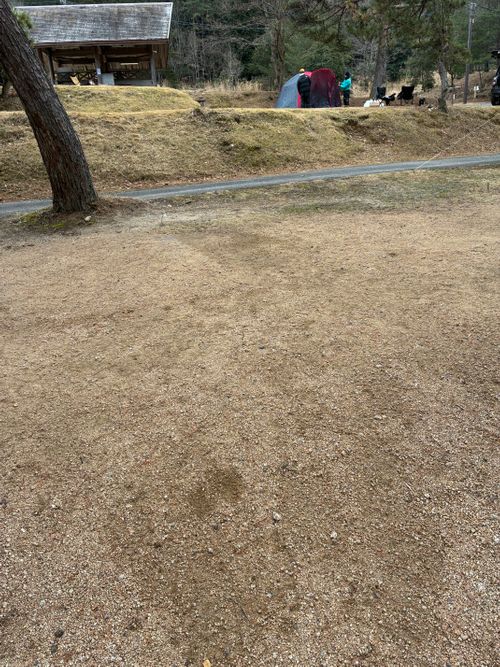 2026年3回目、湖畔キャン🏖️ キャンプ&コテージ フォレスタ広島 ファミリーキャンプ 区画サイト オートサイト わいげさんのキャンプブログ CAMPiii（キャンピー） -キャンプ専用SNS キャンプのすべてがここに集まる-