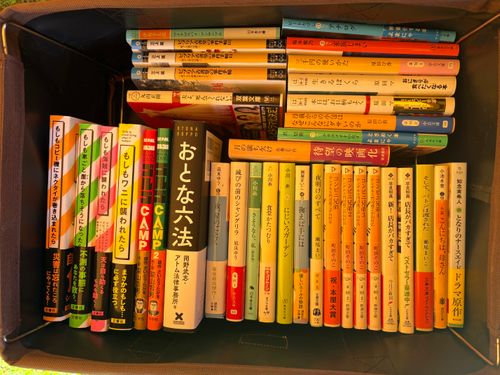 旅する古本屋〜青空下の学舎は本とのご縁を繋ぐ〜 イーレ!はせくら王国 ソロキャンプ 区画サイト オートサイト ぱぱちょさんのキャンプブログ CAMPiii(キャンピー) -キャンプ専用SNS キャンプのすべてがここに集まる-