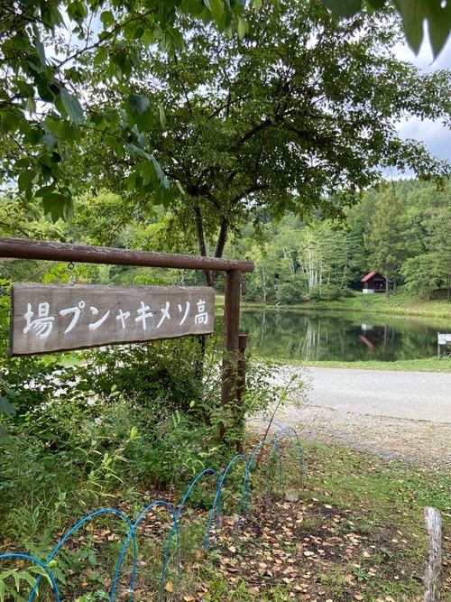 白馬〜高ソメ〜乗鞍高原。 高ソメ キャンプ場 ソロキャンプ オートサイト mibu–chiさんのキャンプブログ CAMPiii（キャンピー） -キャンプ専用SNS キャンプのすべてがここに集まる-