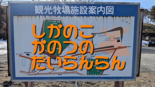 CAMPiii（キャンピー） GSUS（ゲスース）さんのキャンプブログ しかのこかのつのだいらんらん🫎 鹿角平観光牧場キャンプ場