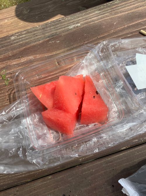 Vol.115 26/NO.05 今年も早速再開初日にお肉焼き焼きに行く‼️ 笛吹小屋キャンプ場 ソロキャンプ 区画サイト 🔥焚き火🔥さんのキャンプブログ CAMPiii（キャンピー） -キャンプ専用SNS キャンプのすべてがここに集まる-