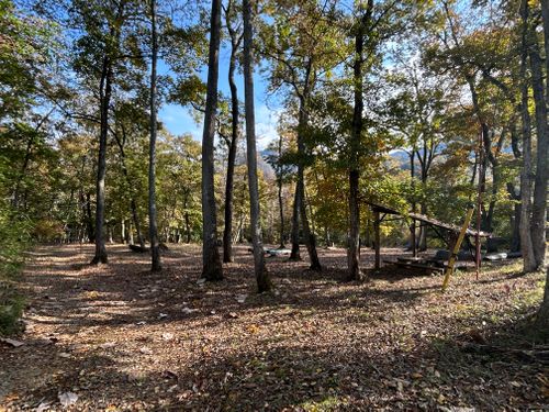 ハンモックの聖地でのんびりソロ＋ソロ 月尾根自然の森キャンプ場 ソロキャンプ グループキャンプ フリーサイト KOBApapaさんのキャンプブログ CAMPiii（キャンピー） -キャンプ専用SNS キャンプのすべてがここに集まる-