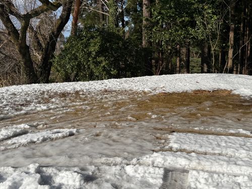新年雪中デビュー⛄️❄️🌨🏔️@前編 閑乗寺公園 第2キャンプ場 ファミリーキャンプ 区画サイト オートサイト ぐうたら夫婦さんのキャンプブログ CAMPiii（キャンピー） -キャンプ専用SNS キャンプのすべてがここに集まる-