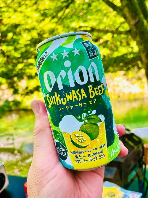 夏だ！川遊びだ！華麗に泳ぐきなこと おじおば🐰キャン△ in 須川家族村オートキャンプ場 〜 CAMP NO.201 須川家族村オートキャンプ場 ファミリーキャンプ グループキャンプ 区画サイト おじキャン△さんのキャンプブログ CAMPiii（キャンピー） -キャンプ専用SNS キャンプのすべてがここに集まる-