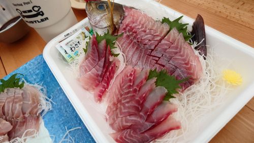 恒例の新春ファミキャン！ THE DOG DEPT GARDEN RESORT-安房白浜- ファミリーキャンプ グループキャンプ 区画サイト まーささんのキャンプブログ CAMPiii（キャンピー） -キャンプ専用SNS キャンプのすべてがここに集まる-