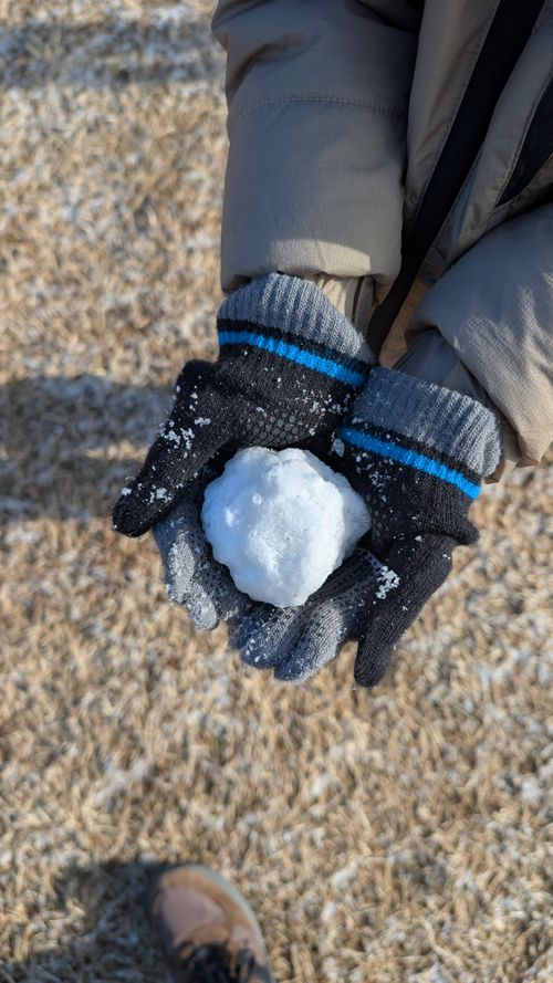 2026年キャンプ始め🎍爆風けん玉合宿🏕️ ひなもりオートキャンプ場 ファミリーキャンプ ヒゲキャンさんのキャンプブログ CAMPiii（キャンピー） -キャンプ専用SNS キャンプのすべてがここに集まる-
