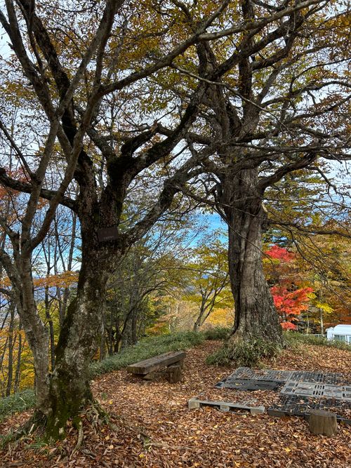 誘われて大菩薩嶺(自分は車中泊😆) 大菩薩嶺 ソロキャンプ グループキャンプ Genさんのキャンプブログ CAMPiii（キャンピー） -キャンプ専用SNS キャンプのすべてがここに集まる-