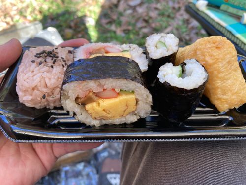 大分長湯温泉ラムネなキャンプ 自然あそびの森 長湯きらりキャンプ場 ソロキャンプ フリーサイト やんさんのキャンプブログ CAMPiii（キャンピー） -キャンプ専用SNS キャンプのすべてがここに集まる-