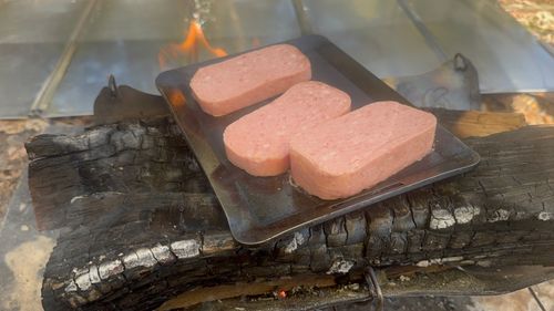 pica表富士2026年シーズンスタート PICA表富士 ソロキャンプ グループキャンプ フリーサイト まっつんさんのキャンプブログ CAMPiii（キャンピー） -キャンプ専用SNS キャンプのすべてがここに集まる-