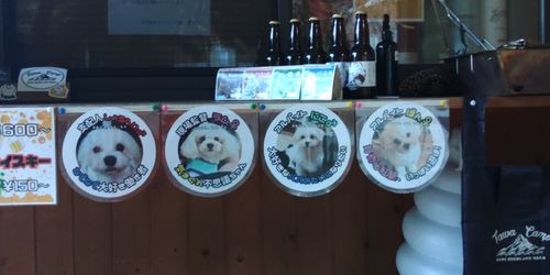 TAWAキャンプ場 そに木霊リゾート～垰tawa～ ソロキャンプ 区画サイト まさやんさんのキャンプブログ CAMPiii（キャンピー） -キャンプ専用SNS キャンプのすべてがここに集まる-