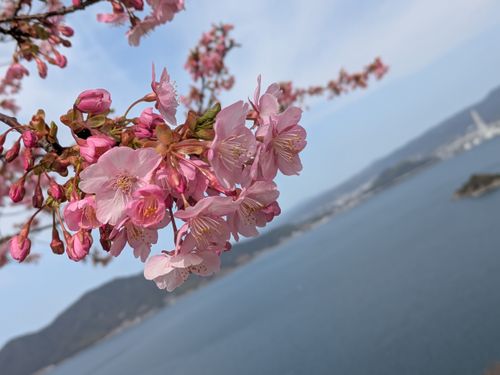 毎年恒例のグルキャン🏕️ 笠戸島家族旅行村 グループキャンプ Kurikko-tomoさんのキャンプブログ CAMPiii（キャンピー） -キャンプ専用SNS キャンプのすべてがここに集まる-