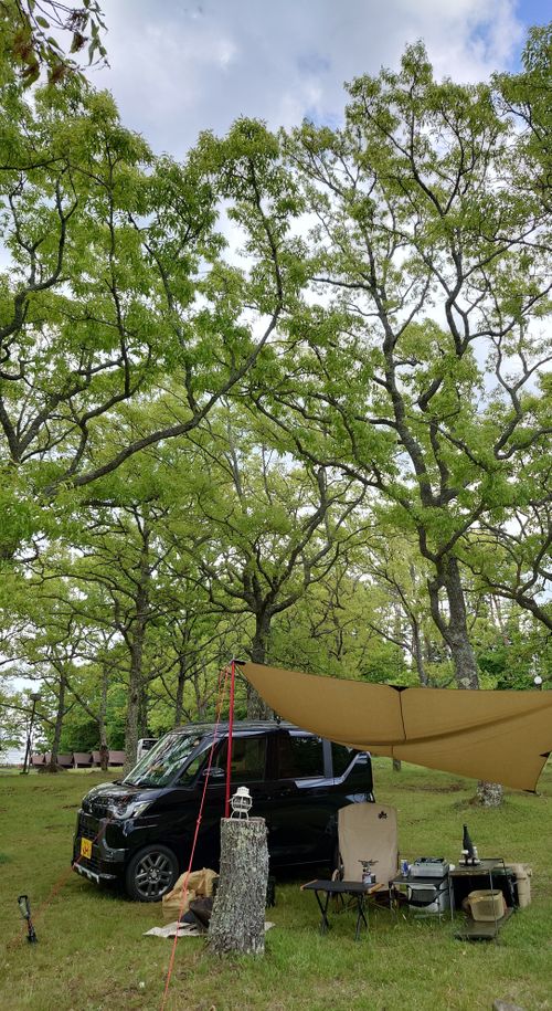 キャンプ+登山+ミヤマキリシマ 九重グリーンパーク泉水キャンプ村 ソロキャンプ BEGINNER　CAMPER　Kさんのキャンプブログ CAMPiii（キャンピー） -キャンプ専用SNS キャンプのすべてがここに集まる-