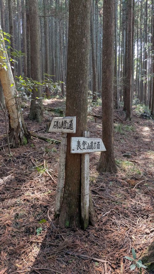 ハスラーが気になる(標高 約150m)(RVパーク(区画、電源付) 3000円)) RVパーク 七里川 ソロキャンプ グループキャンプ オートサイト 区画サイト IZUIZUさんのキャンプブログ CAMPiii（キャンピー） -キャンプ専用SNS キャンプのすべてがここに集まる-