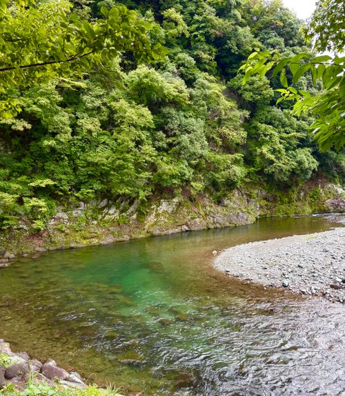 夏満喫！と思ってたのに悪天候😱川流れキャンプできずにワタシの夏は終わった(._. ) 道志渓谷キャンプ場 グループキャンプ 区画サイト ぷりんさんのキャンプブログ CAMPiii（キャンピー） -キャンプ専用SNS キャンプのすべてがここに集まる-
