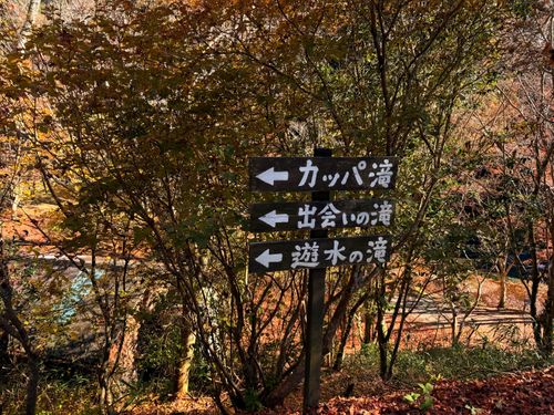 九州伊勢えびキャンプ@阿蘇レインボーバレーたる由縁🌈 阿蘇レインボーバレー グループキャンプ オートサイト ぐうたら夫婦さんのキャンプブログ CAMPiii（キャンピー） -キャンプ専用SNS キャンプのすべてがここに集まる-