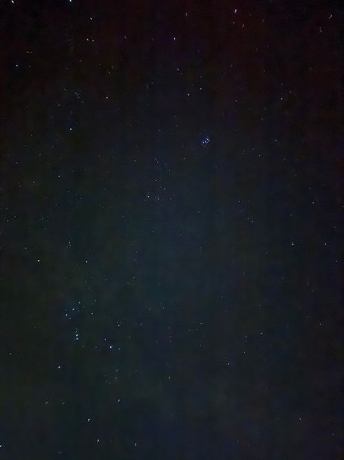 今年ラストキャンプ キャンプ&農園 玖珠の杜 グループキャンプ ファミリーキャンプ フリーサイト オートサイト moreAiさんのキャンプブログ CAMPiii（キャンピー） -キャンプ専用SNS キャンプのすべてがここに集まる-