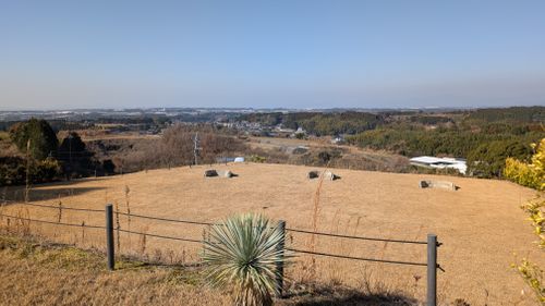 西海岸？🏄️いいえ、ここは西◯◯！ 阿蘇キャンプ Palm Park Adagio ソロキャンプ オートサイト ヒゲキャンさんのキャンプブログ CAMPiii（キャンピー） -キャンプ専用SNS キャンプのすべてがここに集まる-