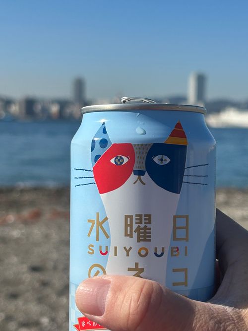 東京湾に残された唯一の自然島にてチェアリング 猿島 ソロキャンプ フリーサイト Genさんのキャンプブログ CAMPiii（キャンピー） -キャンプ専用SNS キャンプのすべてがここに集まる-