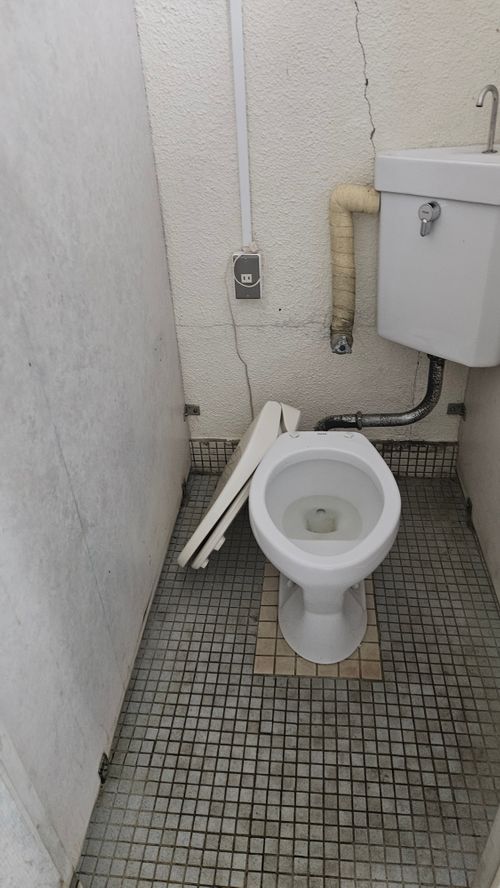とりあえず250踏んどく(標高約910m)(オートサイト区画、2区画6人6台ー2620円/人) 本栖湖いこいの森キャンプ場 グループキャンプ 区画サイト オートサイト IZUIZUさんのキャンプブログ CAMPiii(キャンピー) -キャンプ専用SNS キャンプのすべてがここに集まる-