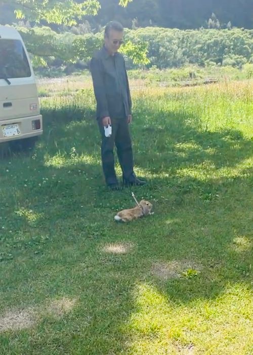 のんびりマッタリ&hellip;GW明け連泊おじうさキャン△ in 阿武川河川公園キャンプ場 〜 CAMP NO.190 阿武川河川公園 ソロキャンプ ファミリーキャンプ フリーサイト おじキャン△さんのキャンプブログ CAMPiii（キャンピー） -キャンプ専用SNS キャンプのすべてがここに集まる-