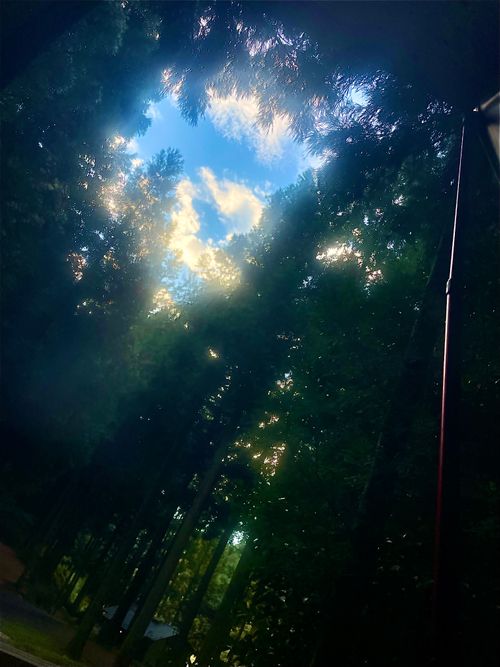 雨キャン覚悟がお天気回復でヒャッハー♫なおじおば🐰🐰キャン△ in 吉部フォレストクラブ犬ヶ迫キャンプ場 〜 CAMP NO.213 吉部フォレストクラブ犬ヶ迫キャンプ場 ファミリーキャンプ グループキャンプ 区画サイト おじキャン△さんのキャンプブログ CAMPiii（キャンピー） -キャンプ専用SNS キャンプのすべてがここに集まる-