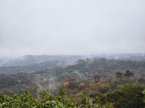 雲海キャンプ➃は雨☔ 花の駅せら オートキャンプ場 ソロキャンプ 区画サイト オートサイト 三代目とっしぃさんのキャンプブログ CAMPiii（キャンピー） -キャンプ専用SNS キャンプのすべてがここに集まる-