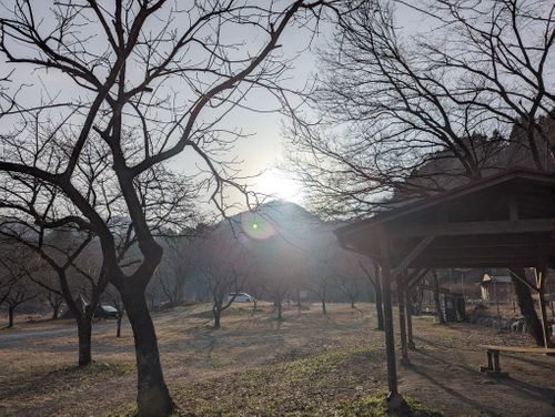 朝ゆっくりしたかったソロキャンプ 青野原オートキャンプ場 ソロキャンプ 区画サイト 週末スナフキンさんのキャンプブログ CAMPiii（キャンピー） -キャンプ専用SNS キャンプのすべてがここに集まる-